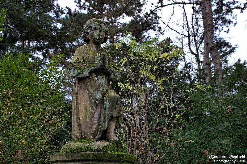 Bernhard Saalfeld - DSC00622 -1